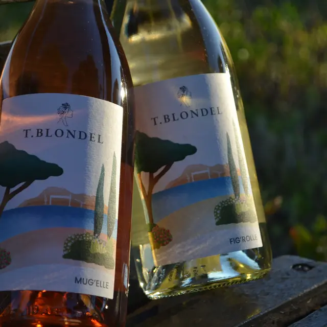 T.Blondel Vins Ciotadens_La Ciotat