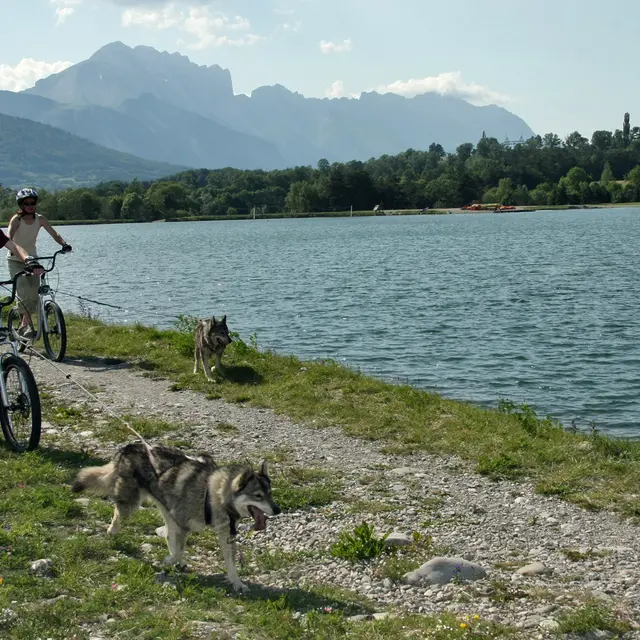 Cani-Trot' - Alpi Traineau