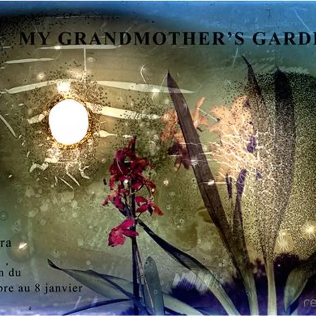 My grand mother's garden_Marseille