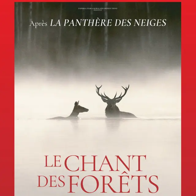 Le Chant des forêts_Draguignan