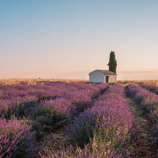 Lever de soleil sur le plateau