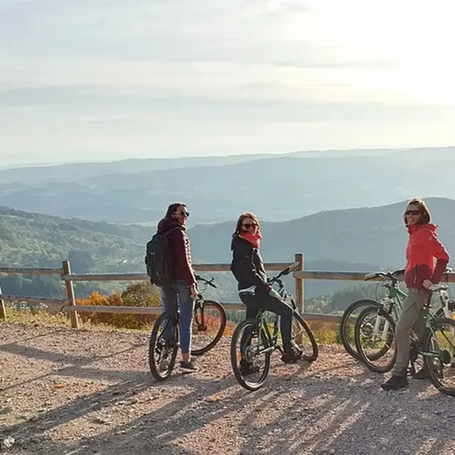 Location VTT - Chalet des Gentianes