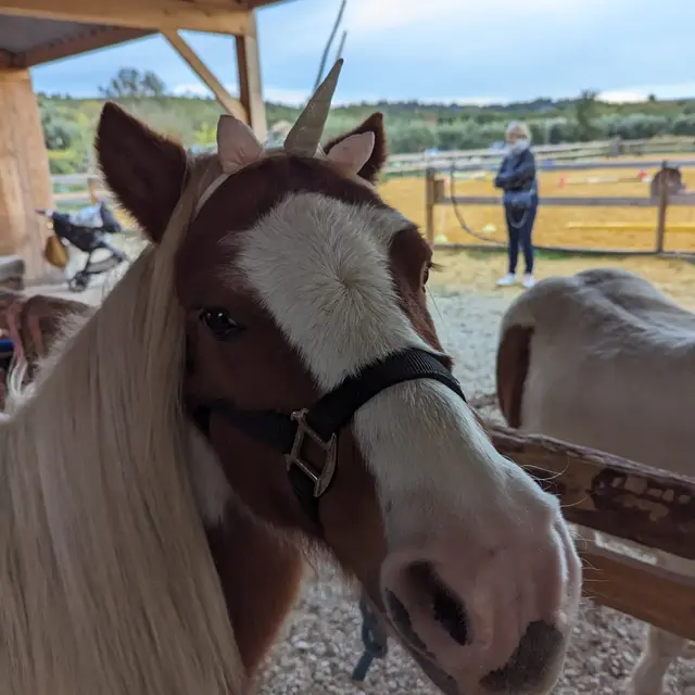 Rando à cheval avec les Sabots du Limon_Mazan
