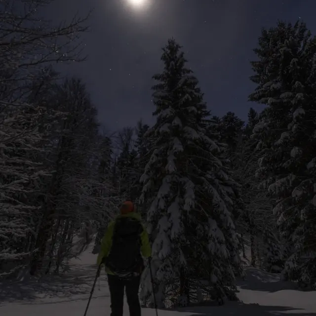 Atelier : Conte-moi la nuit !_Chambéry