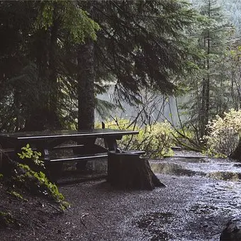 table de pique-nique