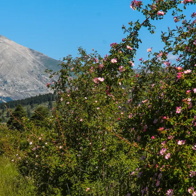 Tronçon 6 TransVerdon