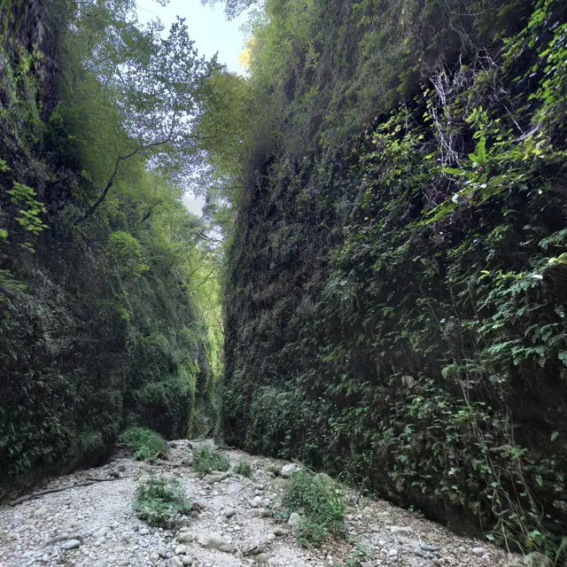 Vallon Obscur