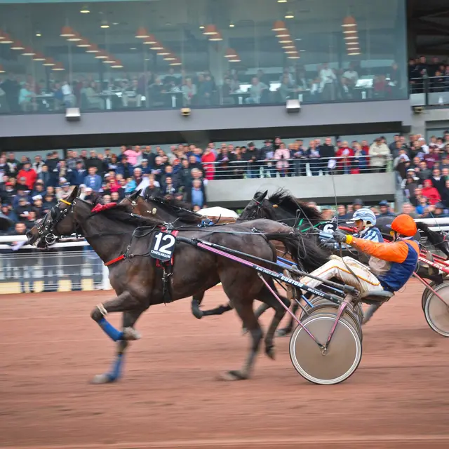 Courses à l'hippodrome_Châtelaillon-Plage