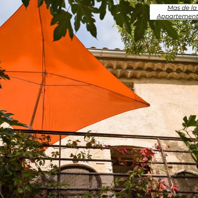 Les Terres de Saint Hilaire - Gîte Sauge_Ollières