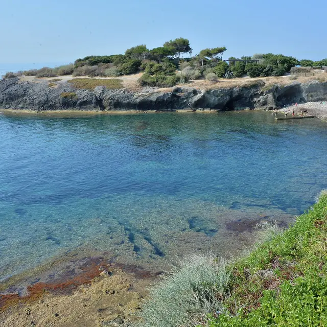 La pointe des douaniers