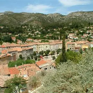 13T2001288_1_WEB.jpg