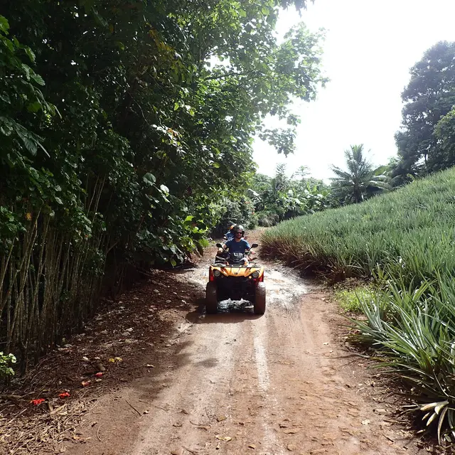 Moorea Activities Center - Quad / Atv Tours - Tahiti Tourisme