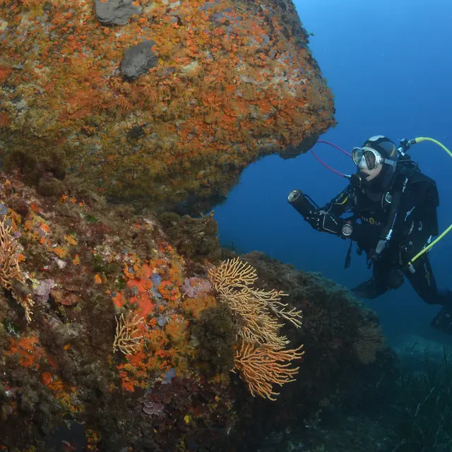 Centre de plongée Cap Plongée Six Fours
