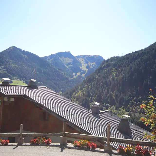 Balcon des Alpes