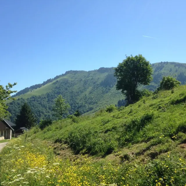 Randonnée La pointe de Miribel depuis le Darandet_Habère-Poche