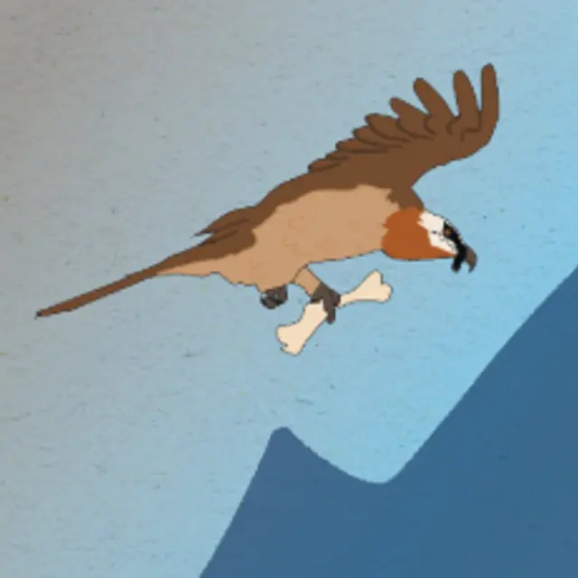 Raconte-moi la science : Eliot le Gypaéton_Chambéry