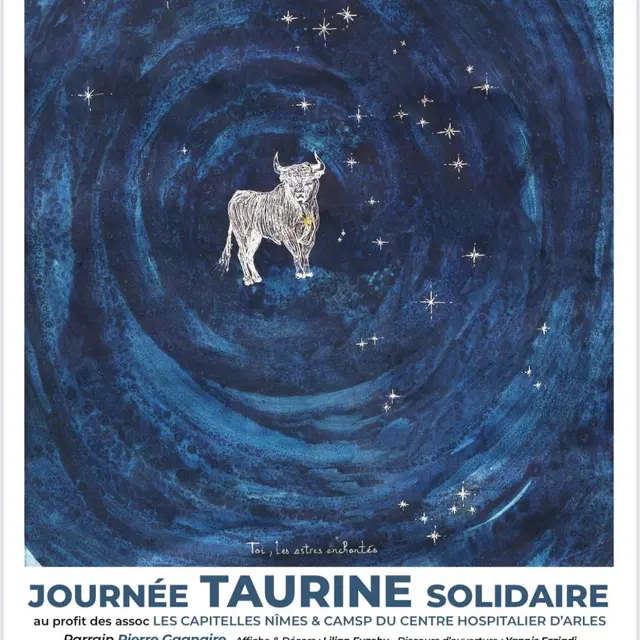 Journée taurine solidaire Un toro pour un rêve d'enfant_Arles