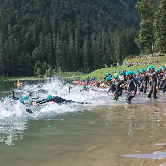 Triathlon natation