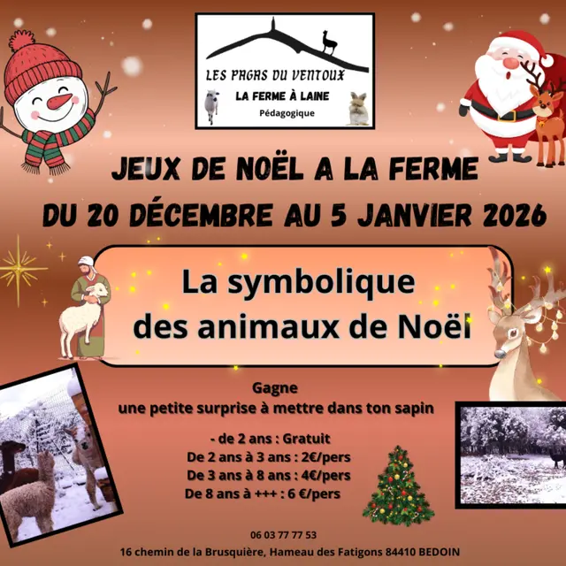 Jeux de Noël à la ferme Les Pagas du Ventoux_Bédoin