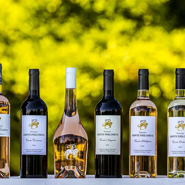 sainte-philomène  bouteilles