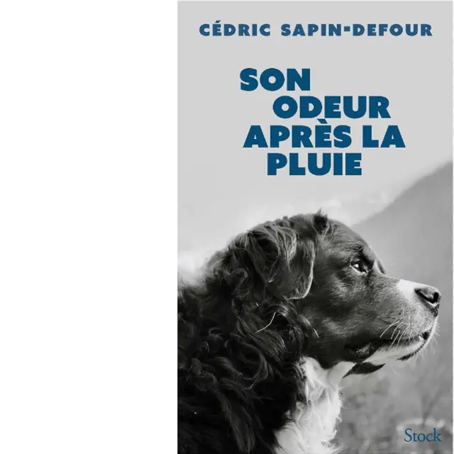 Son odeur après la pluie