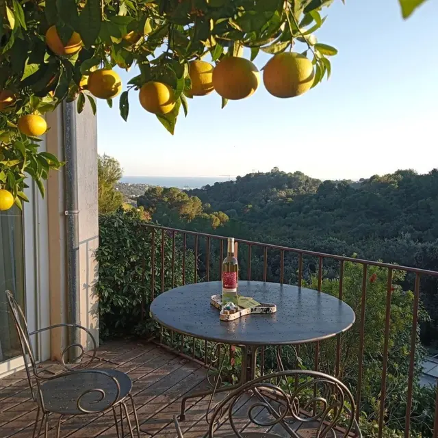La Pépinière_Saint-Paul-de-Vence