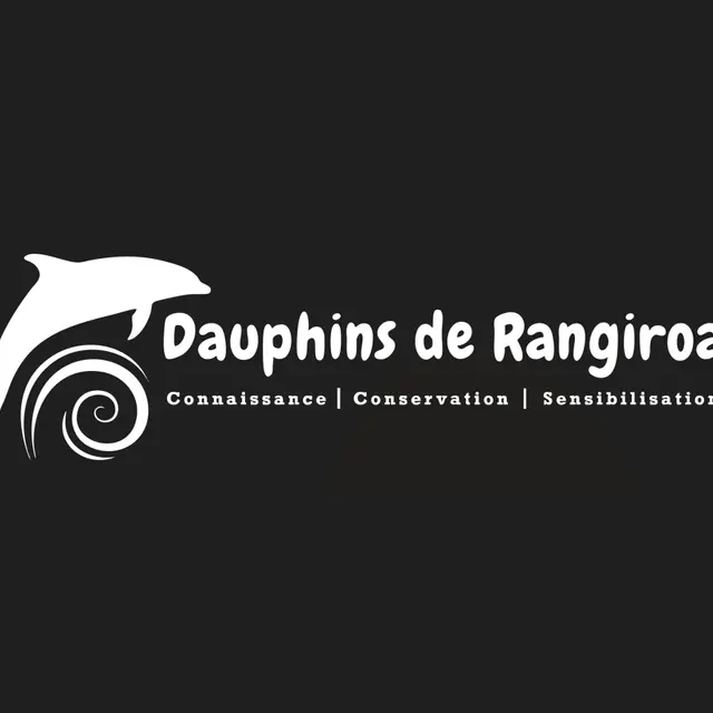 Dauphins de Rangiroa_Rangiroa