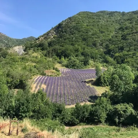 Les Méga Apéros Perchés de Youpi Tours