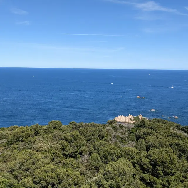 Chantier Nature : La nature au naturel_Ramatuelle