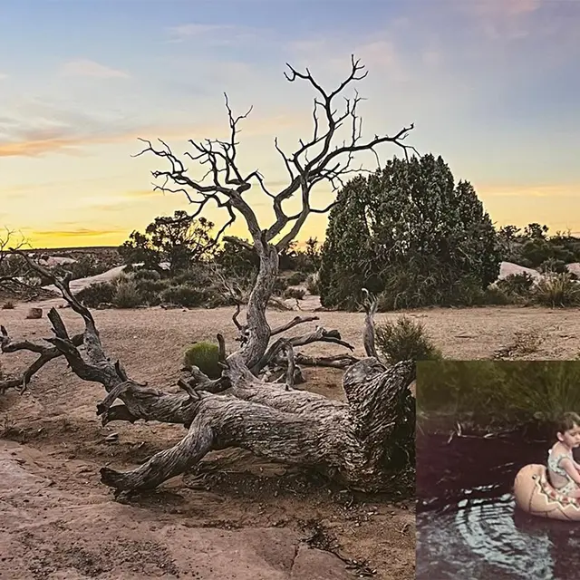 Exposition Cécile Menendez au Domaine de Lagoy_Saint-Rémy-de-Provence