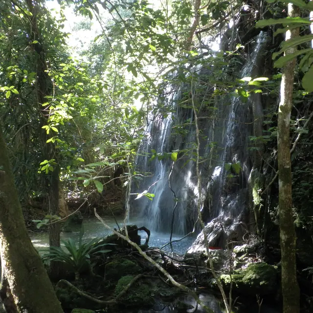 Station les 3 creeks