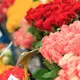fleurs cannes