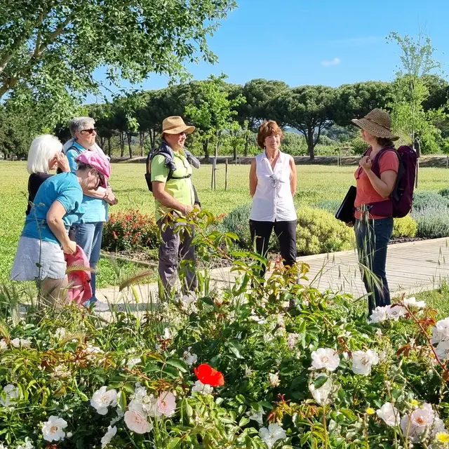 Balade nature Botanistes en herbe_La Londe-les-Maures