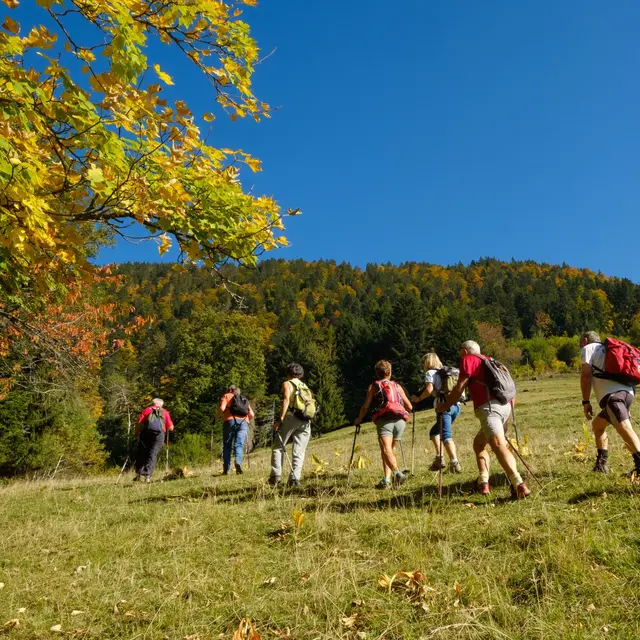 Sortie nature avec le Groupe Nature Sources du lac d'Annecy