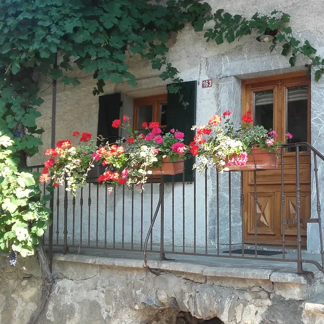 Location de vacances au calme à la campagne