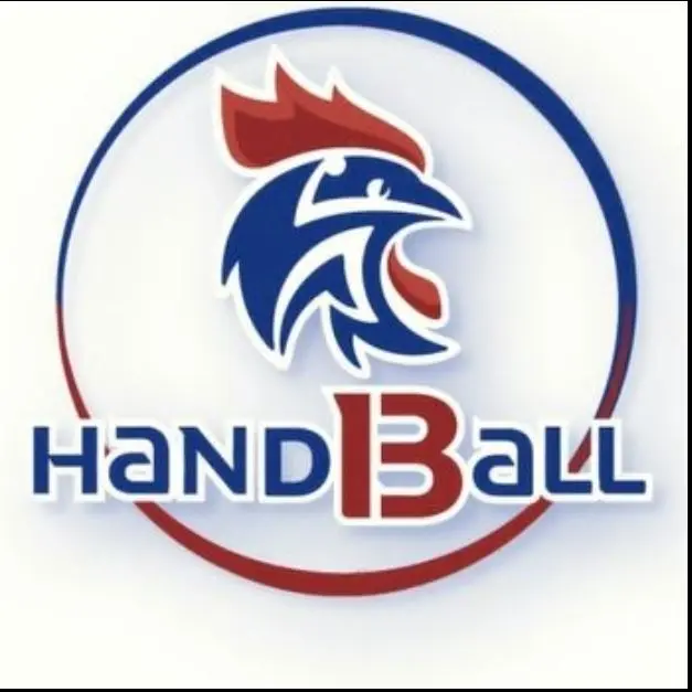 Comité 13 Handball_Marseille