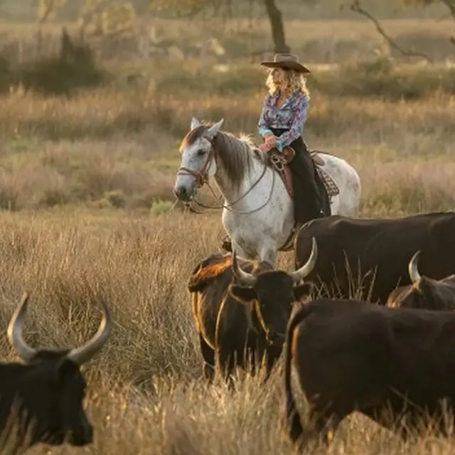 Les Baisses du Juge_Arles