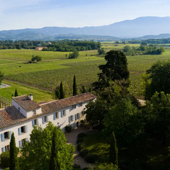 Château la Croix des Pins