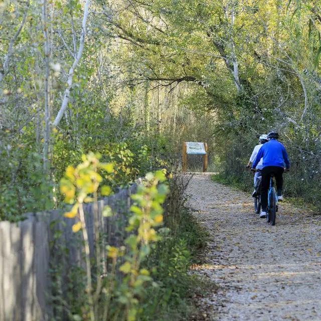 Tronçon Mallemort - Sénas_Mallemort