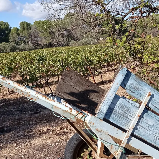 Sentier des vignerons - Boucle des cépages_Martigues