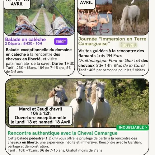 Les évènements d'avril au Mas de la Cure_Saintes-Maries-de-la-Mer