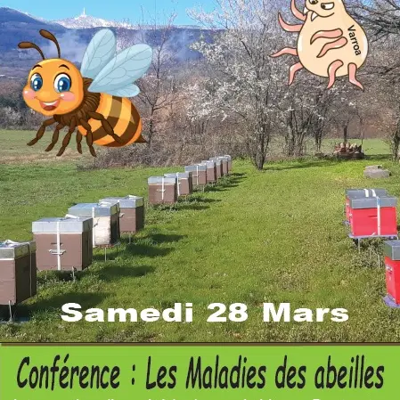 Conférence Les maladies des abeilles_Roisey