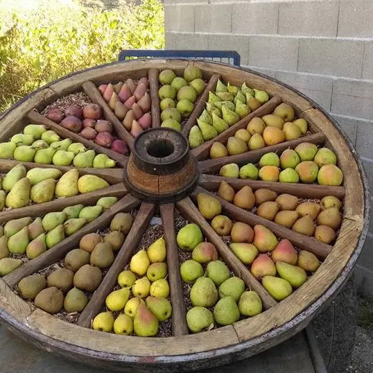 roue de poires