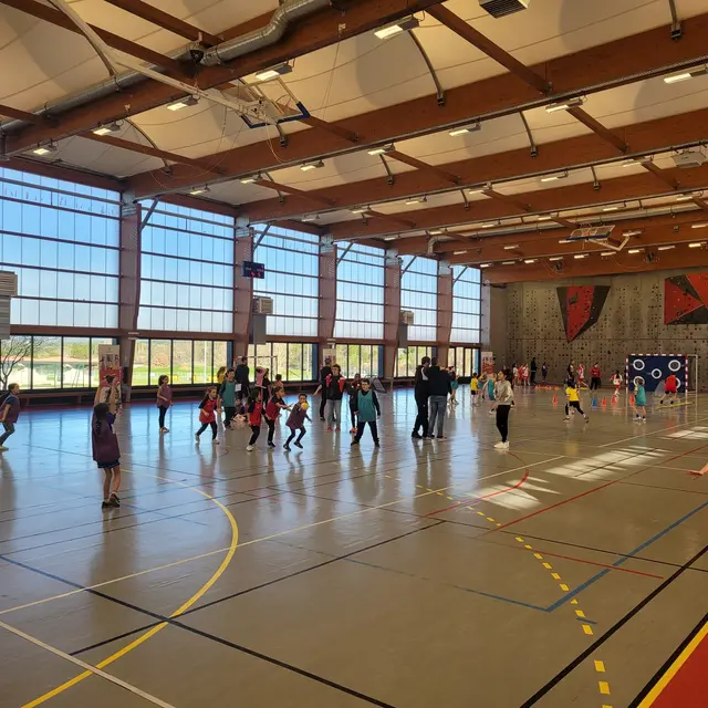Comité Bouches du Rhône de Handball