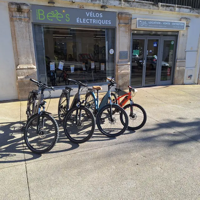 BEE'S LOCATION VELO 1/2 JOURNEE_Cadenet