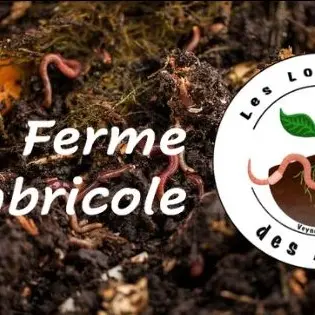 Les Lombrics des Alpes_Veynes