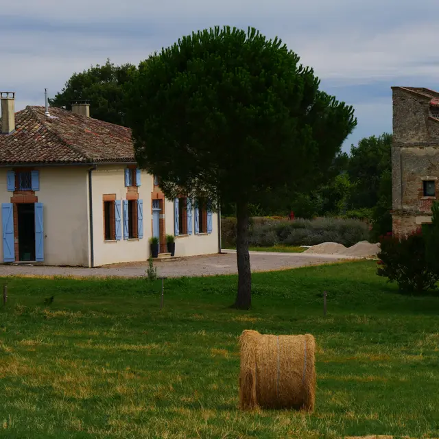 Le pigeonnier de Pauly_Mirabel