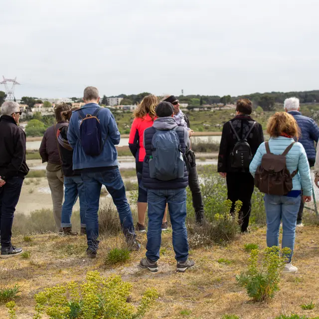 Éco-balade : Découverte des salins de Rassuen_Istres