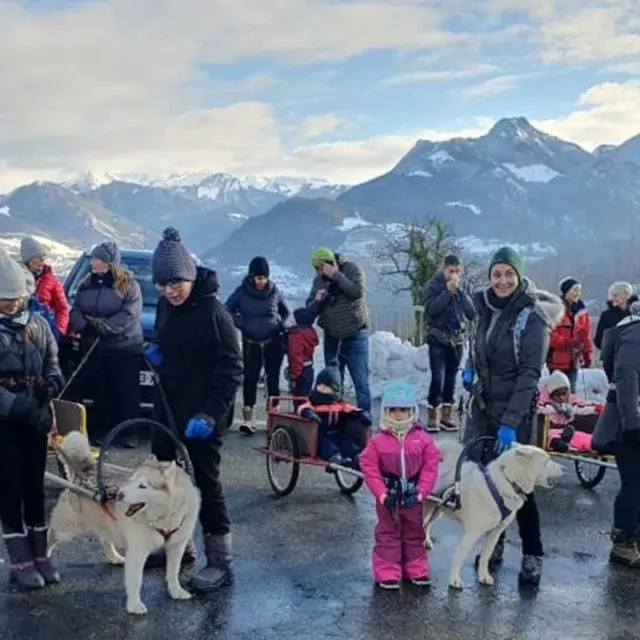 Chiens de traîneaux, Père Noël et Papillotes_Vailly