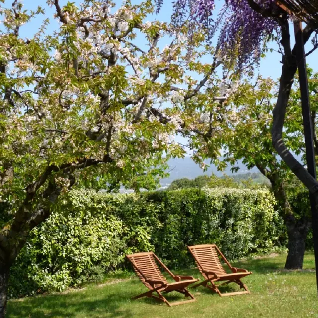 Les Cerisiers - Domaine des Finets